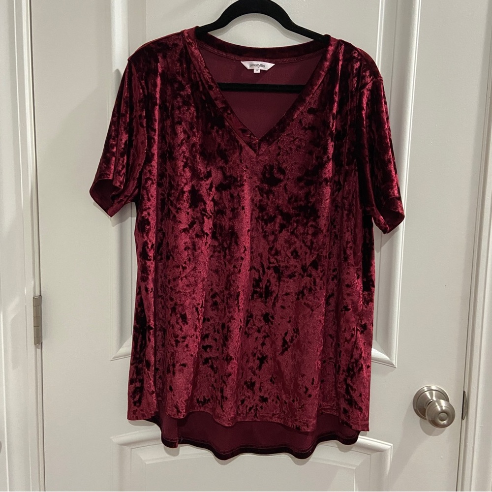 NWOT Crushed Velvet Amaryllis Short Sleeve Top, Size 1X
